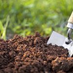 تأثیر نوع خاک و مکان رویش بر میزان مواد مؤثره گیاهان دارویی